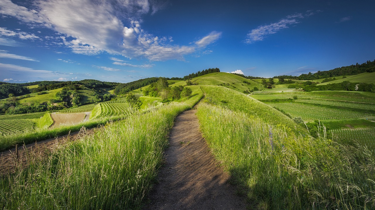 grass cultivation