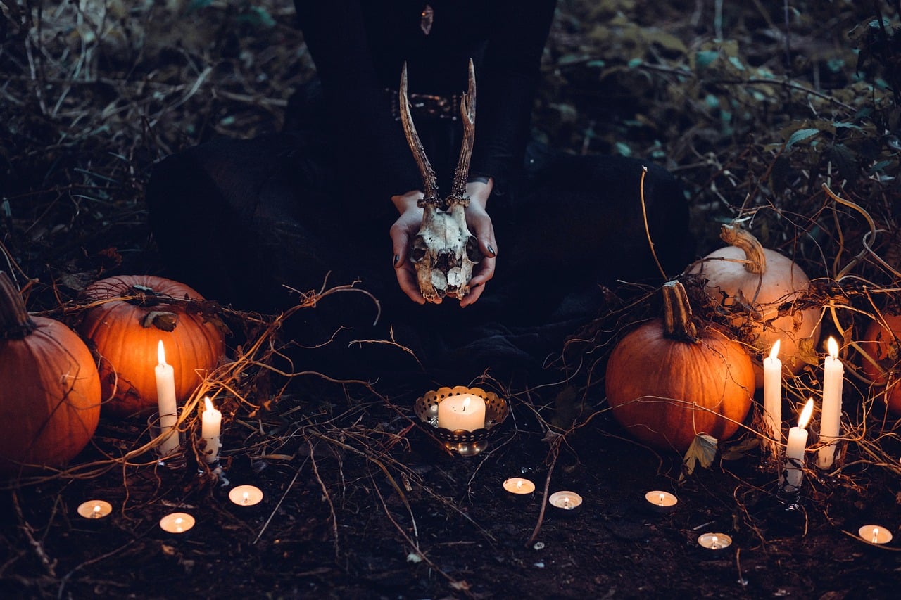 Pumpkins and horned skull in the forest