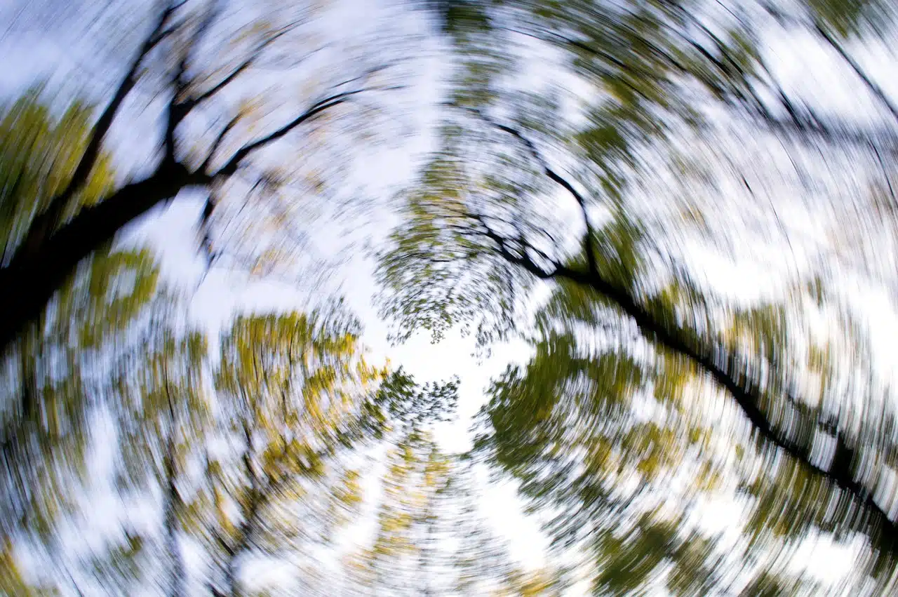 Blurred trees