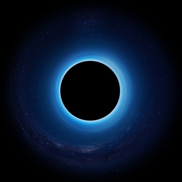 black hole hadron