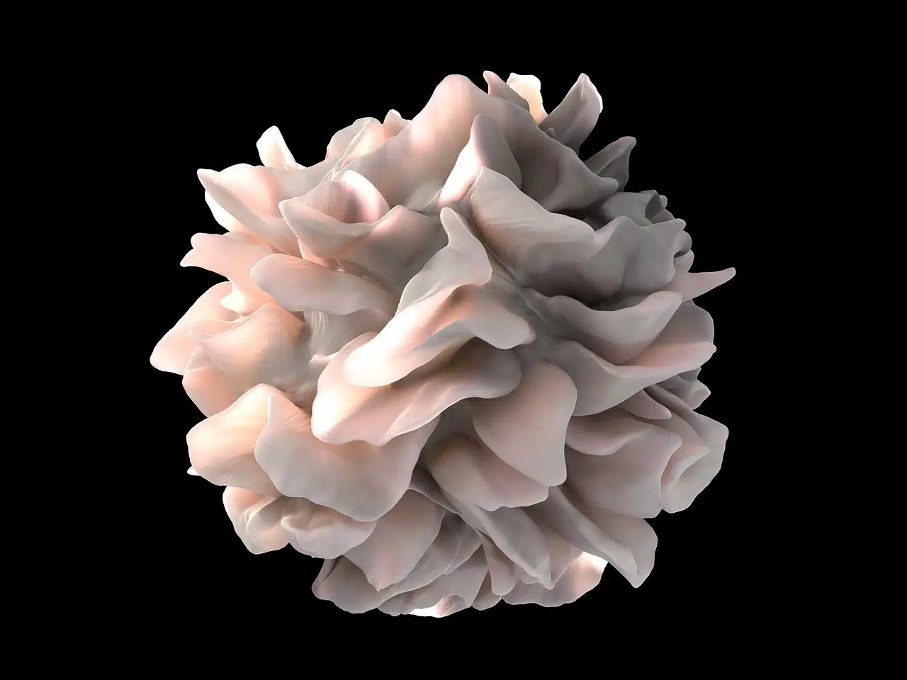 Photomicrograph of a dendritic cell