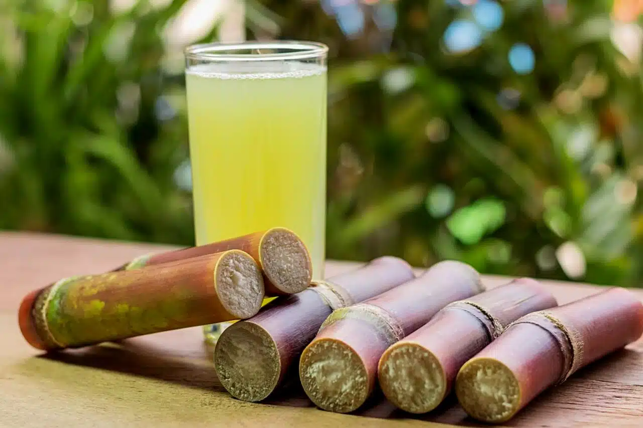 Sugar cane and glass of juice