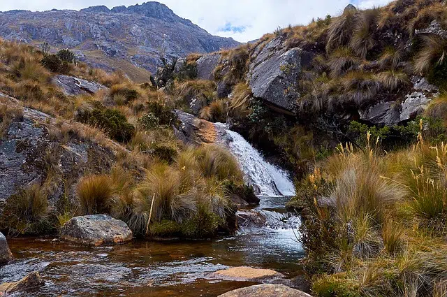 Galerrón Peru