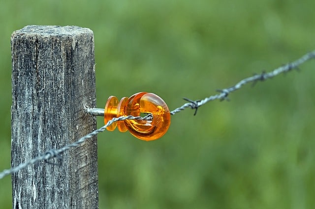 barbed wire