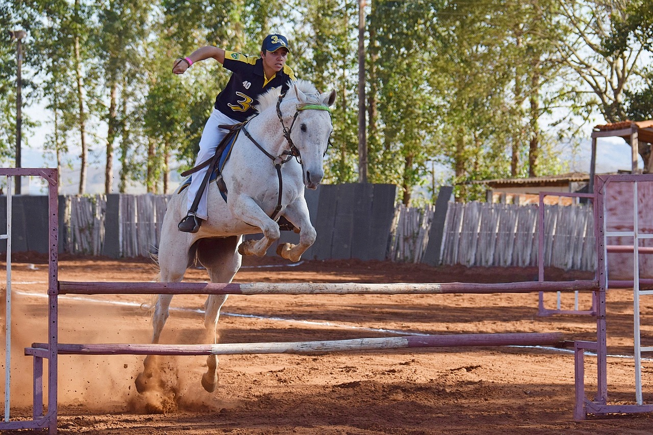 Rider and horse jumping over bar