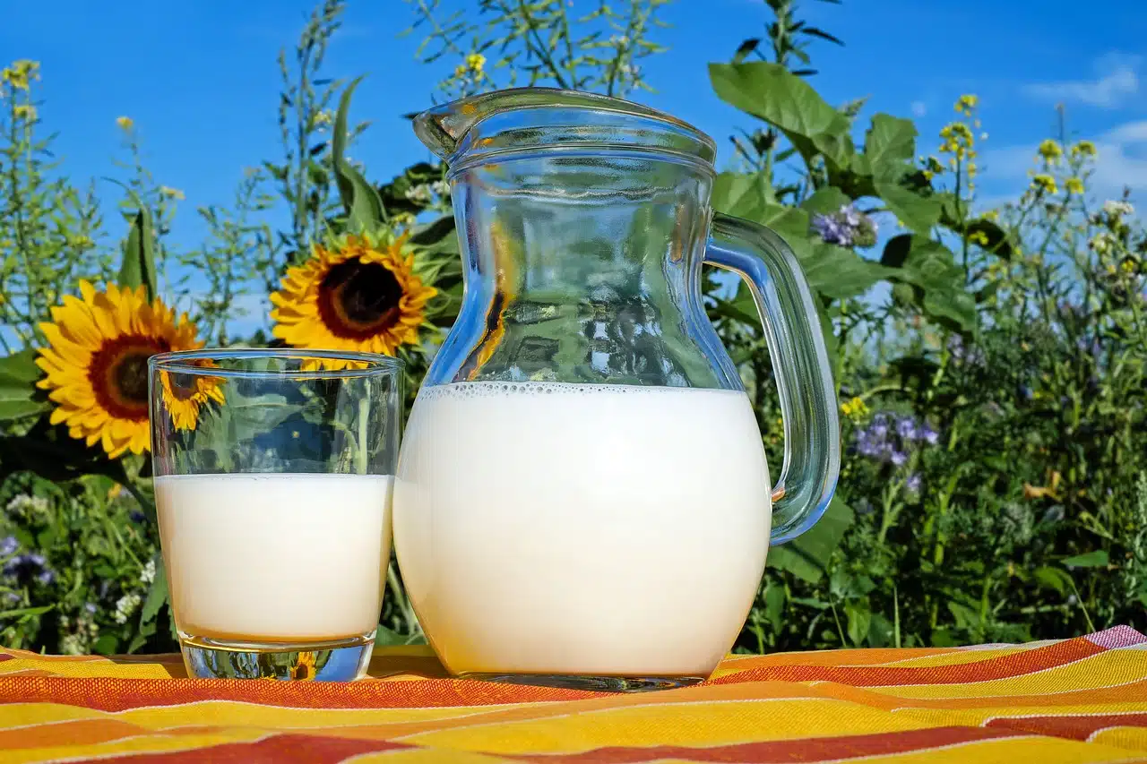 A glass and a jug of milk