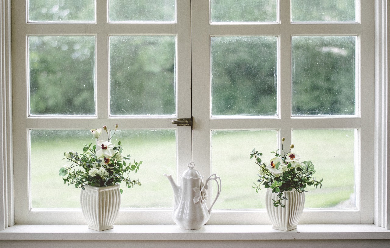 Plants and vase in front of the window