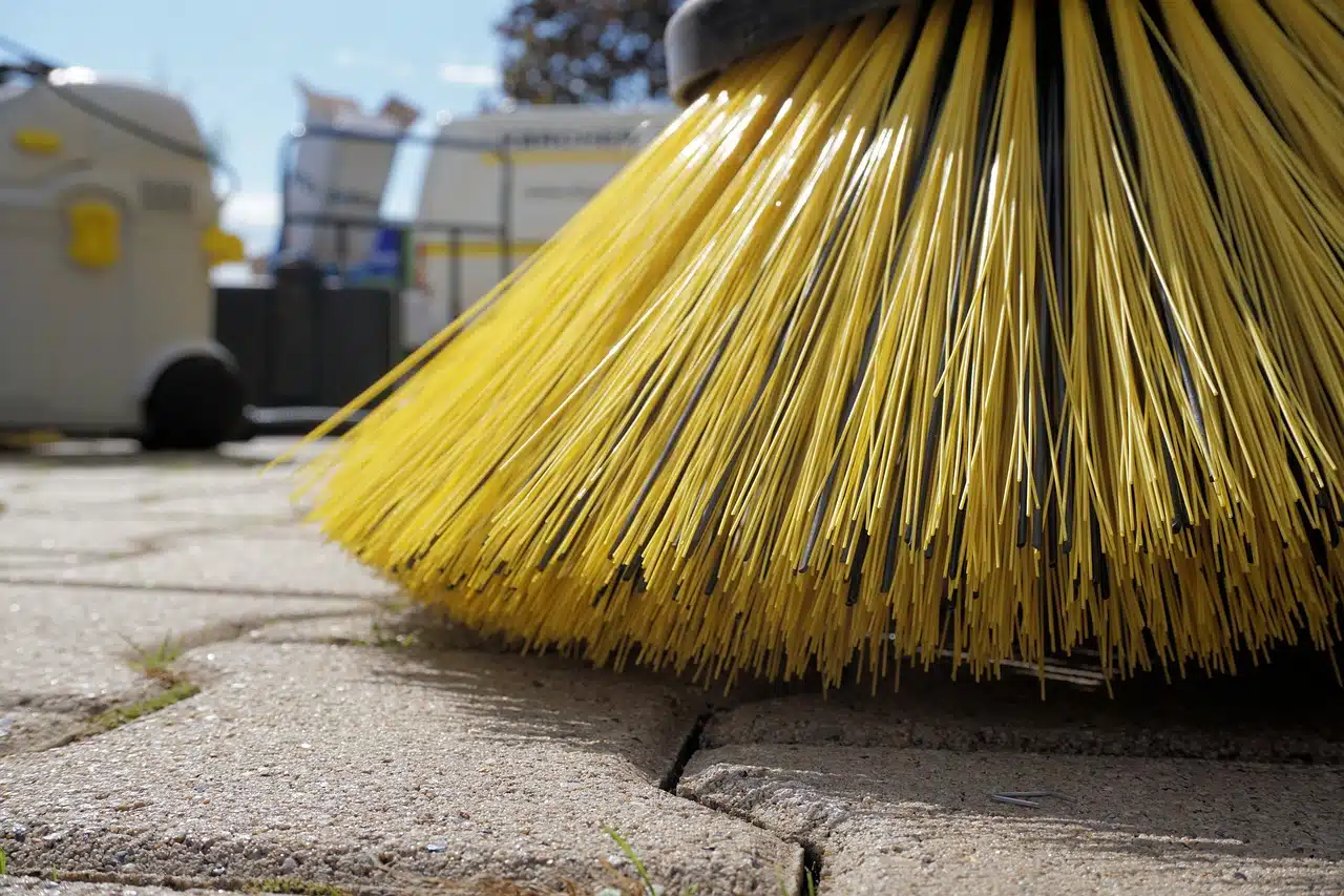 broom bristles