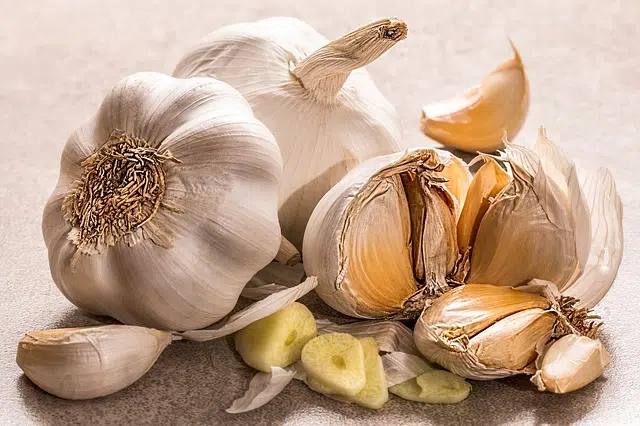 homemade garlic insecticide