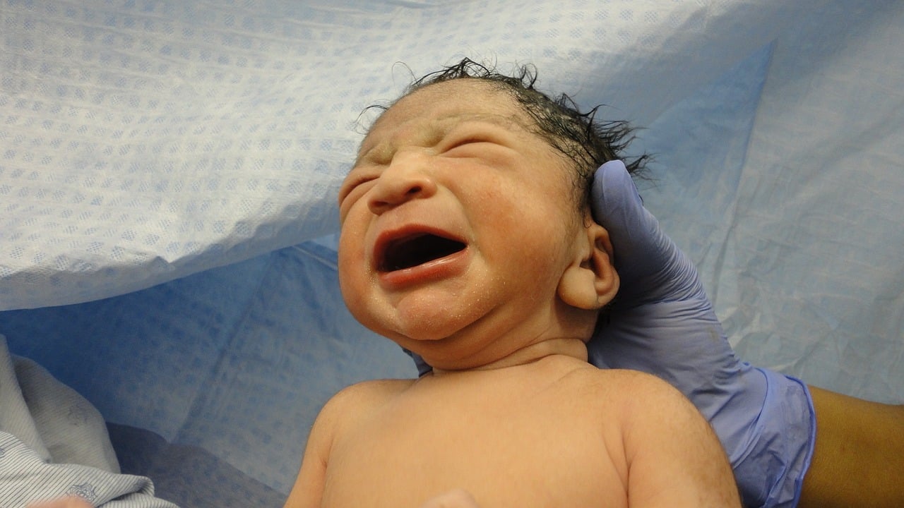 newborn baby