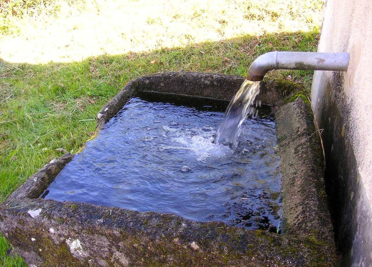 stone sink in garden