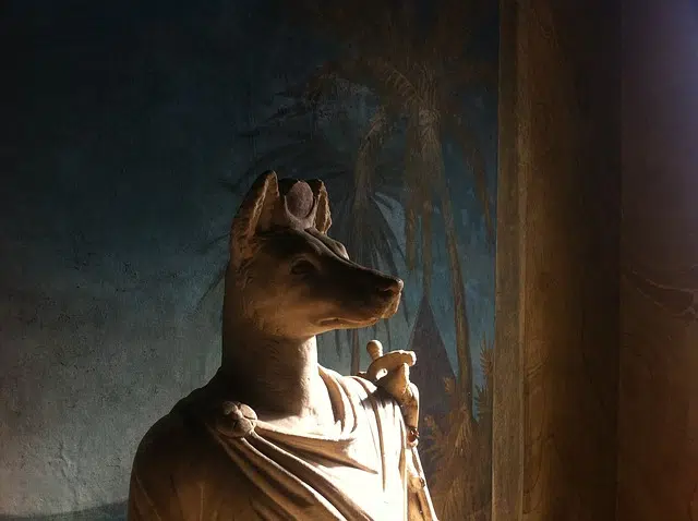 Anubis Robe