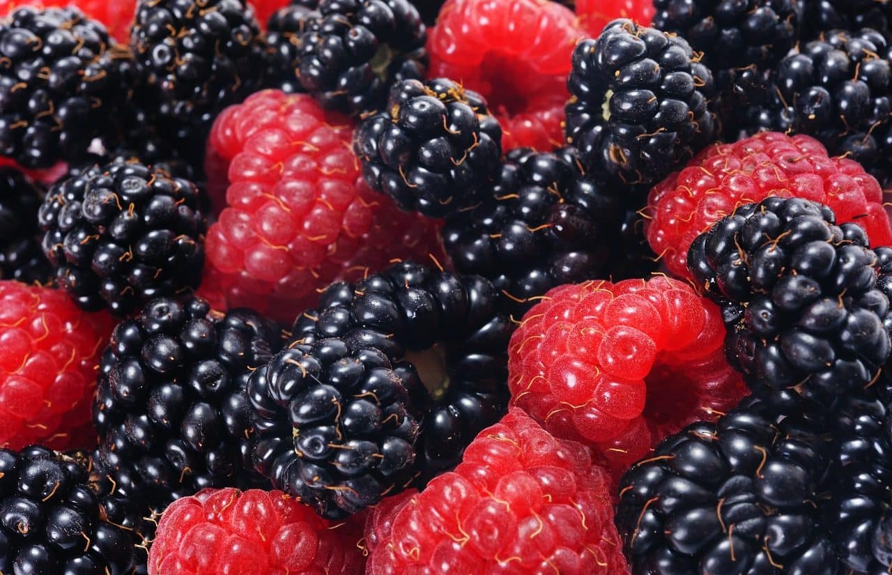 Raspberries and blackberries