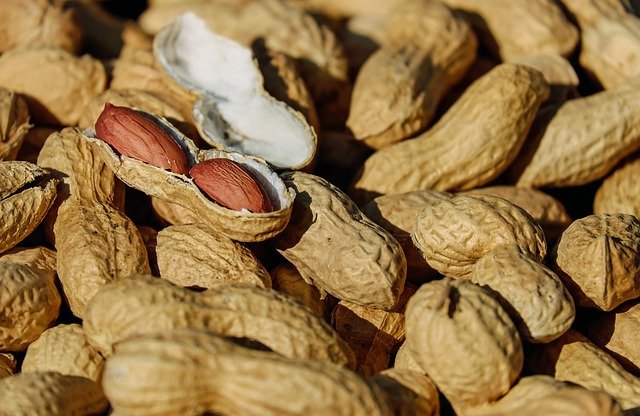 Fruit of Arachis hypogaea