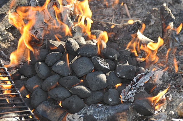 charcoal briquettes