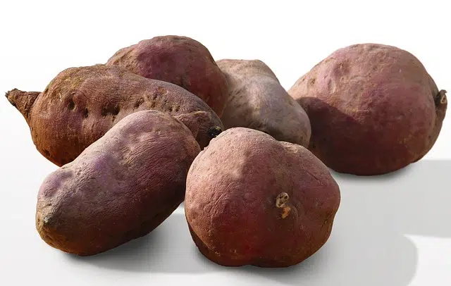 sweet potato