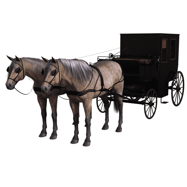 Carriage