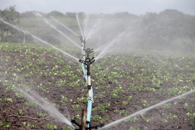 irrigation system