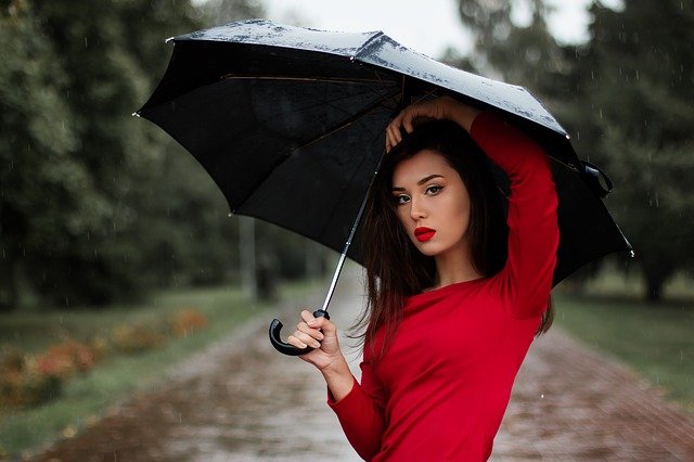 Umbrella