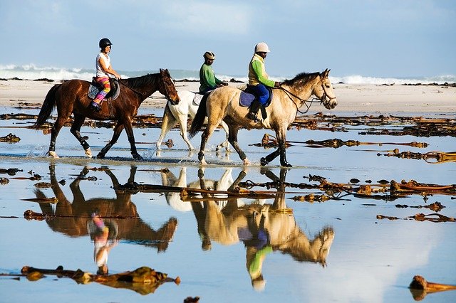 horse ride