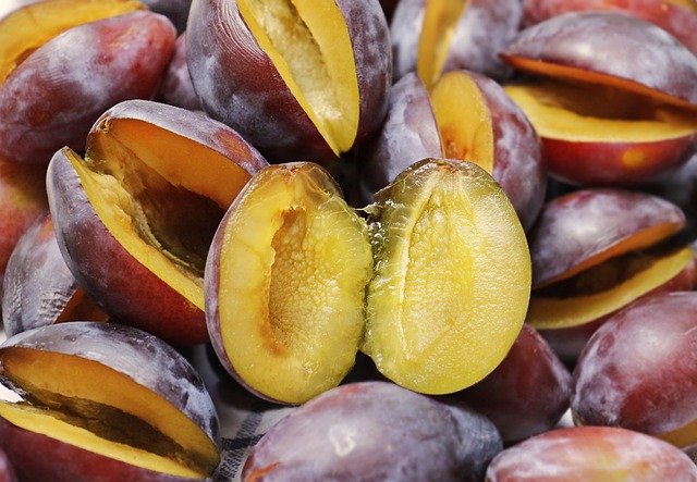 plum fruit