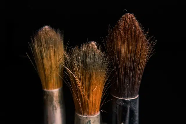 Brushes