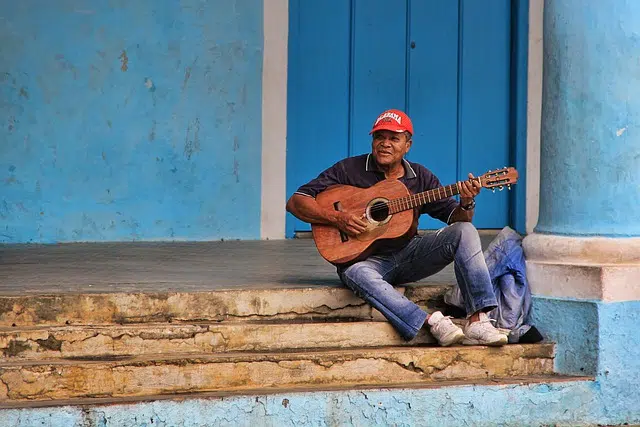 Guitarist