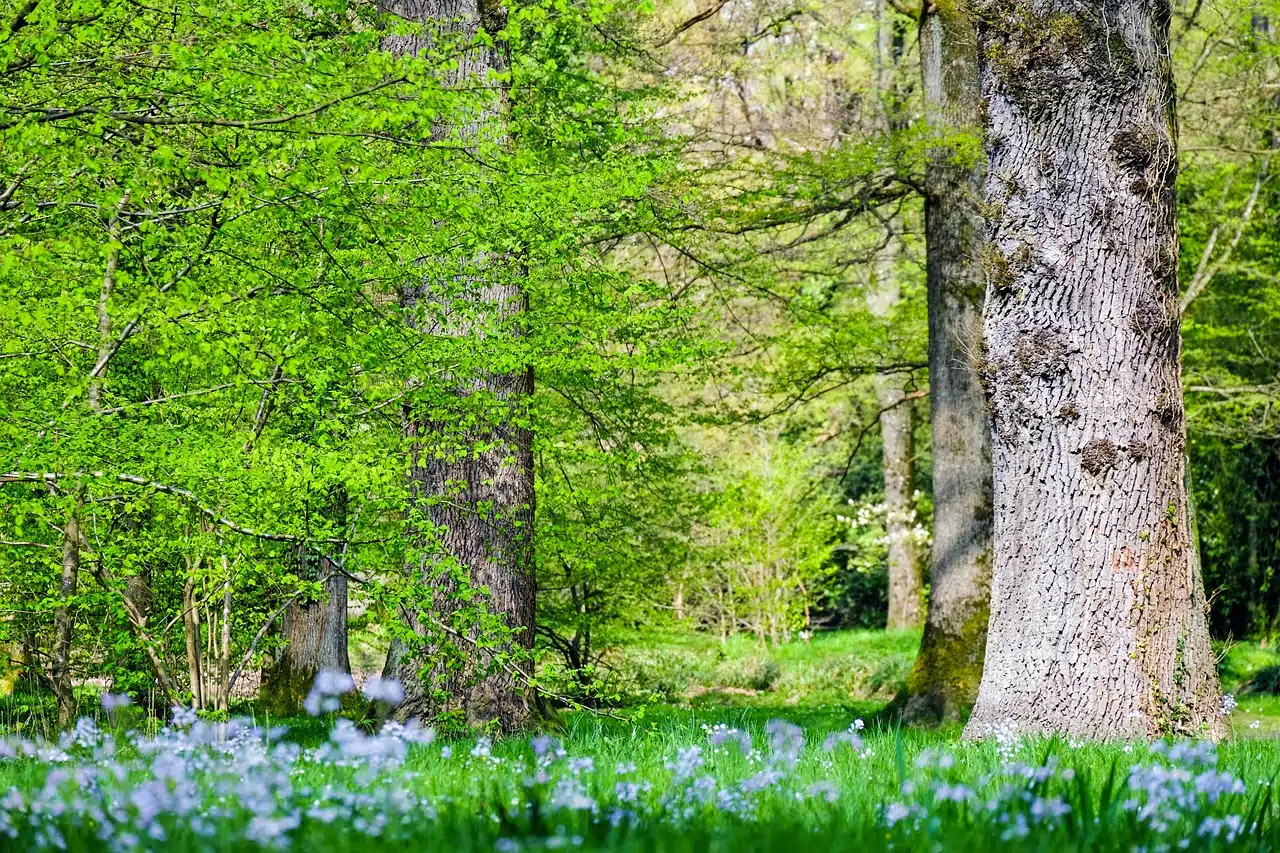 Living beings sharing habitat