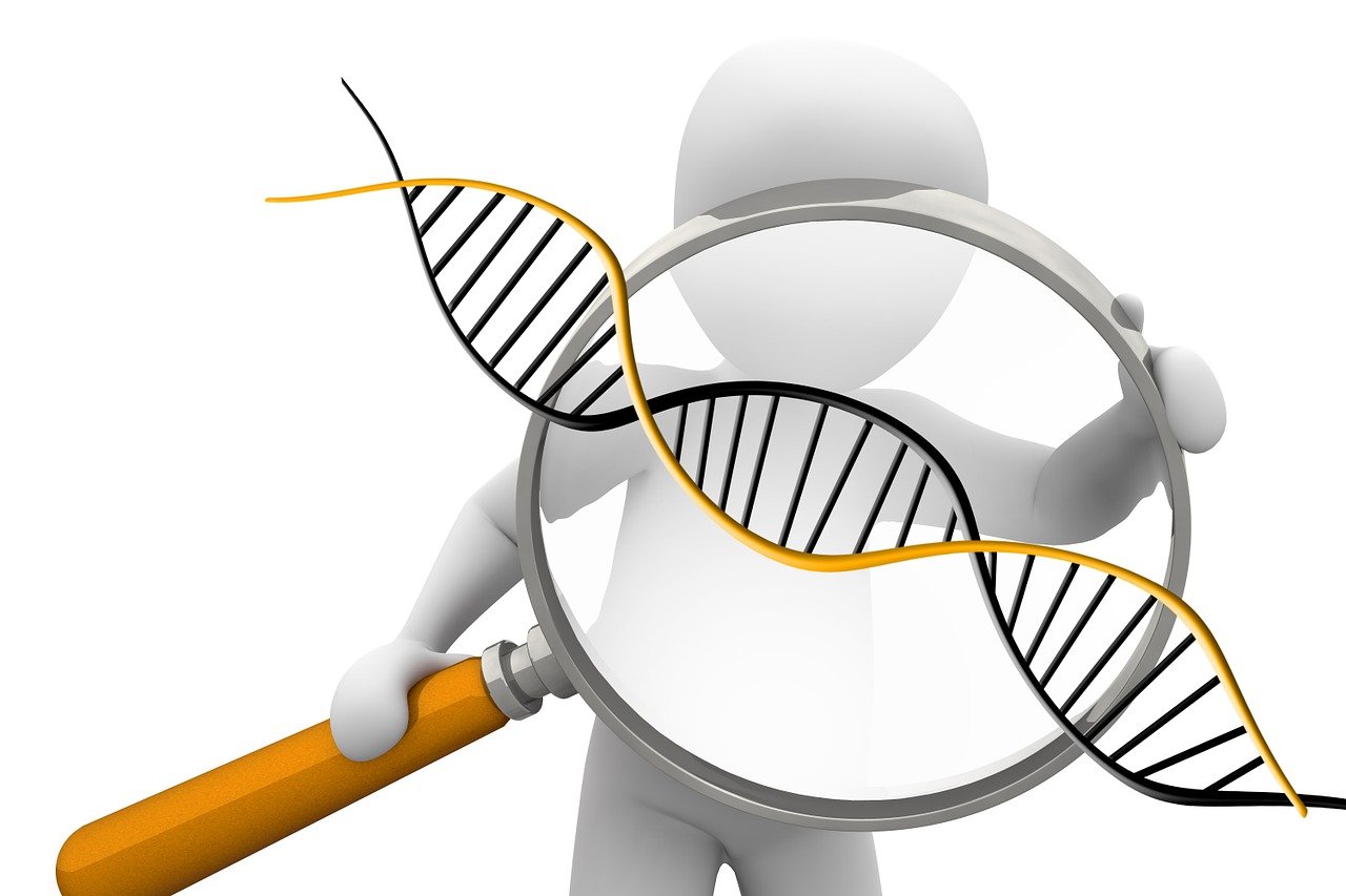 Deoxyribonucleic acid