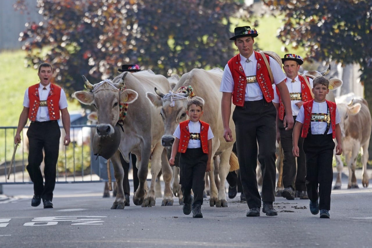 Traditional clothing