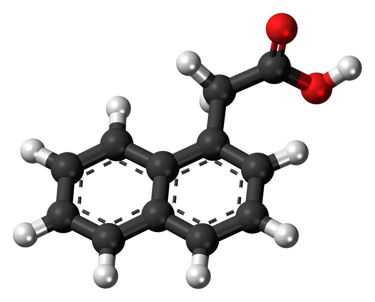 atoms and molecules