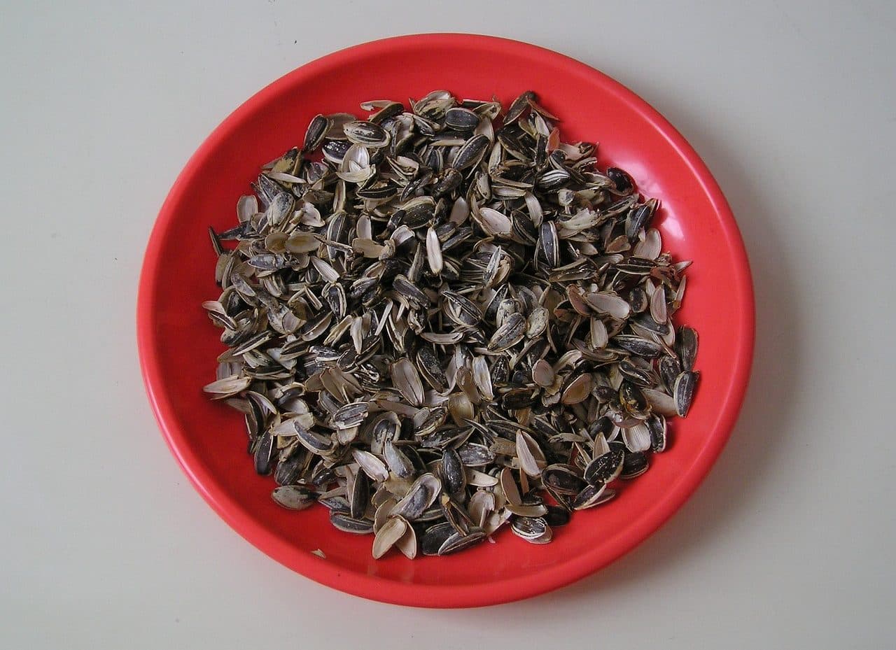 sunflower seeds