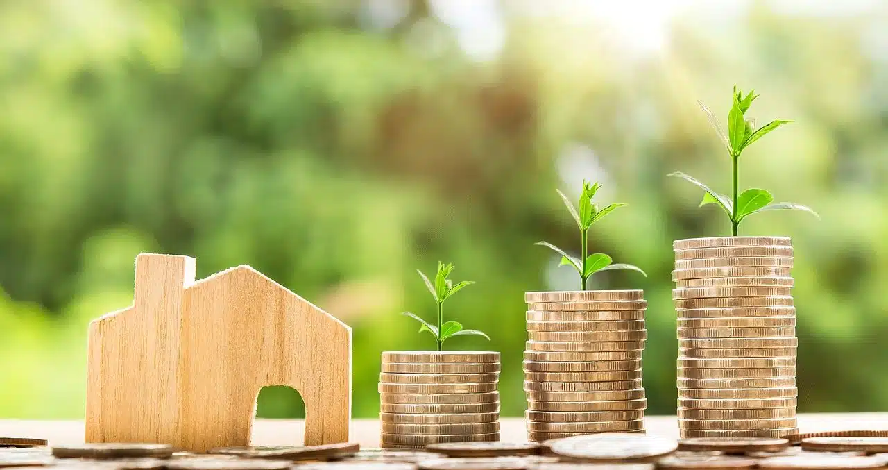 Piles of coins, a wooden house and plants