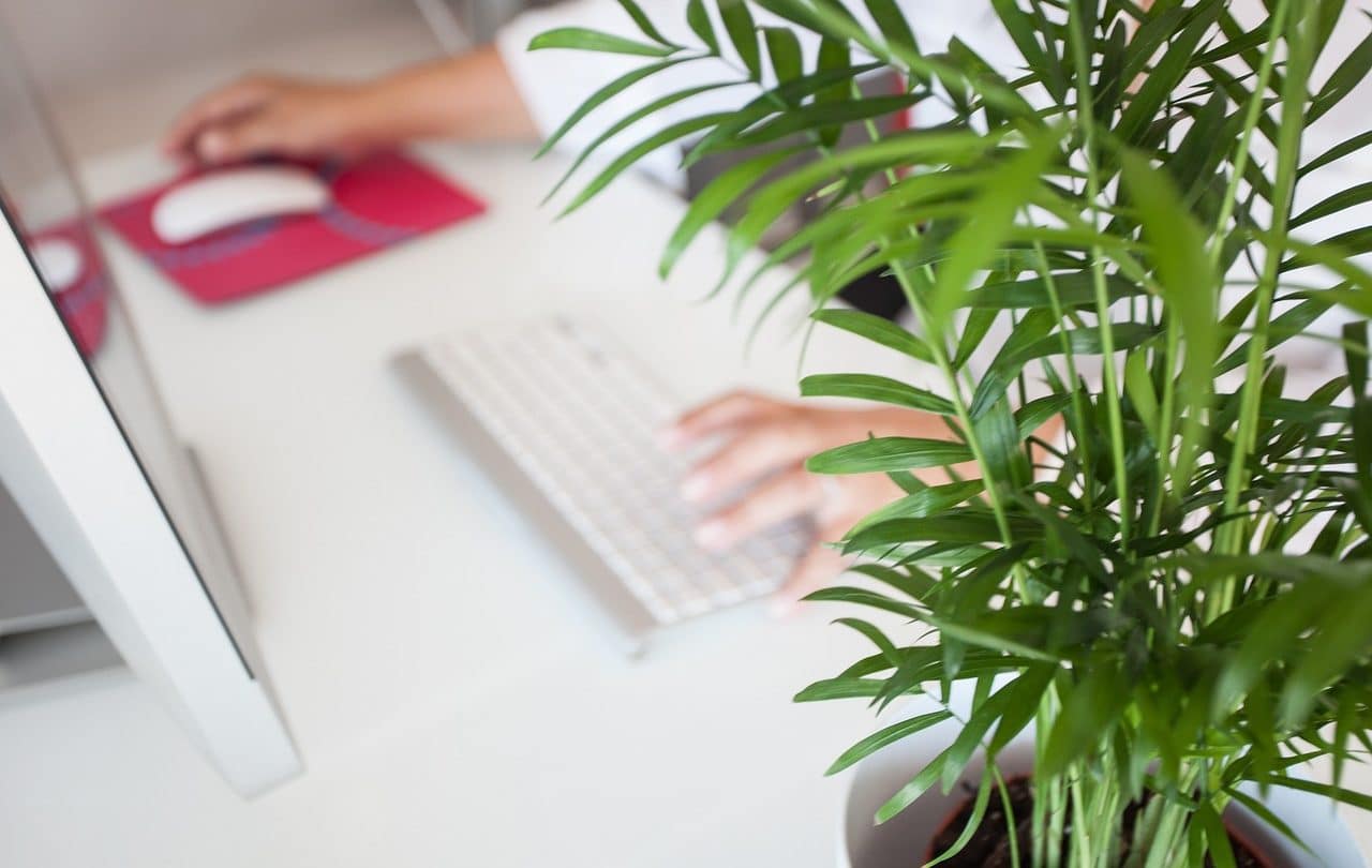 Woman working from home