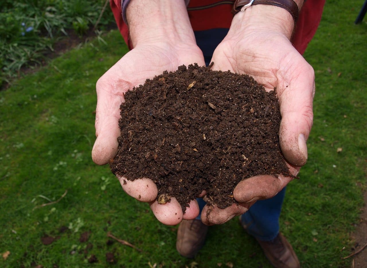 Compost