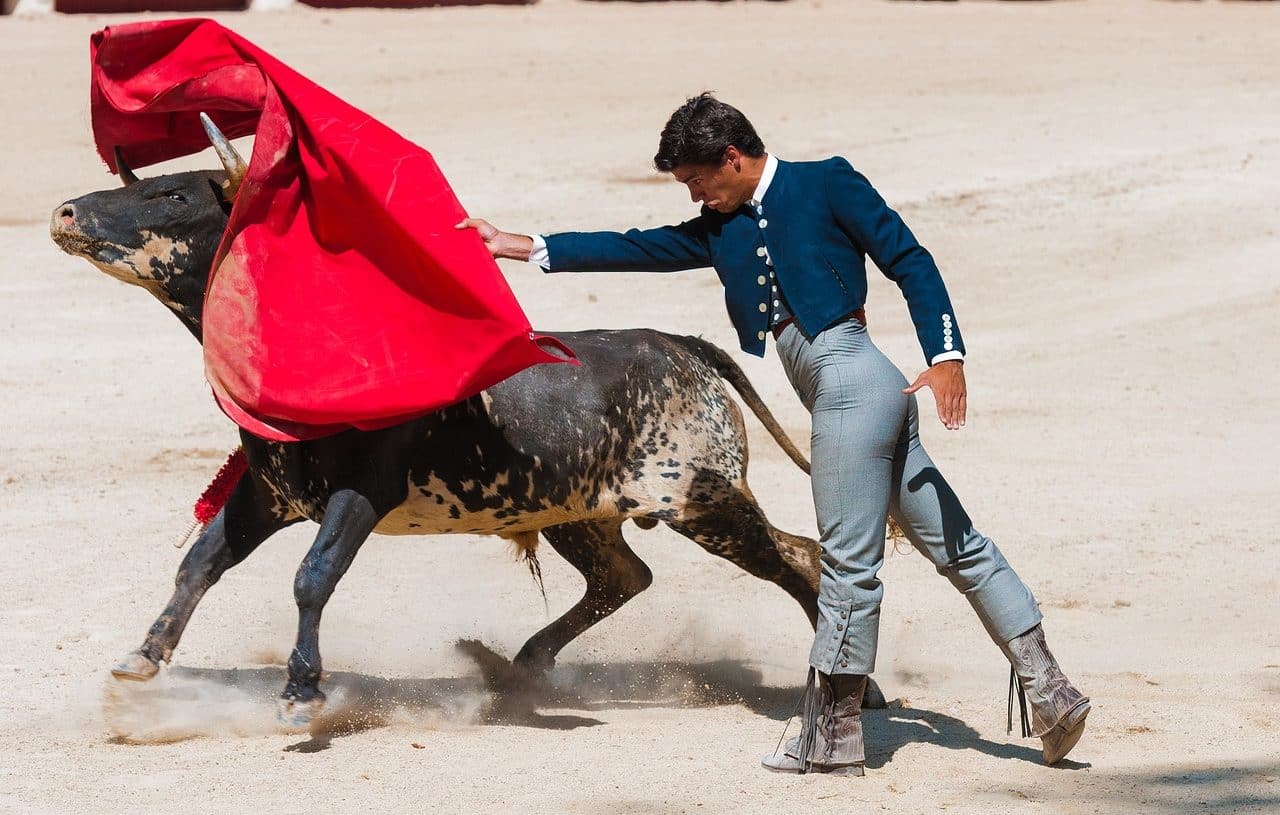 bullfights