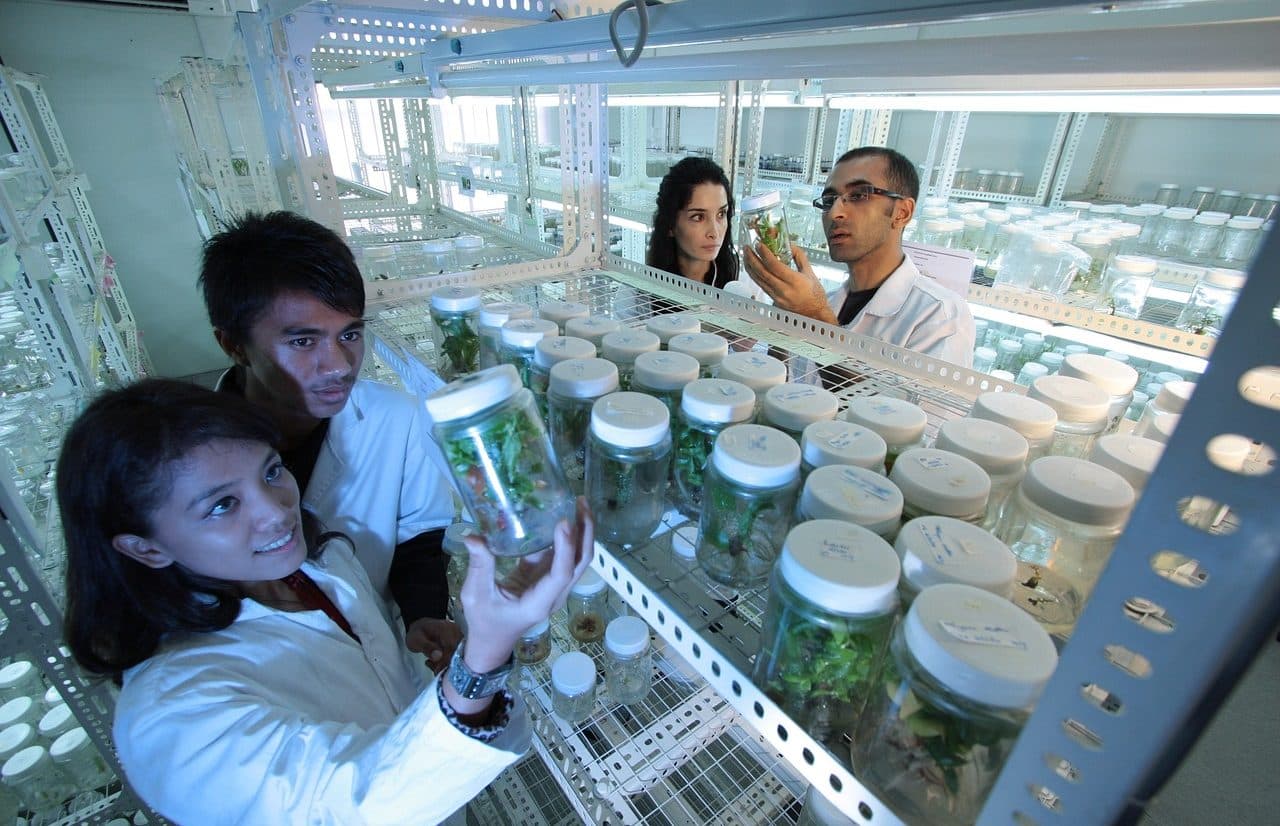 Four scientists in the laboratory