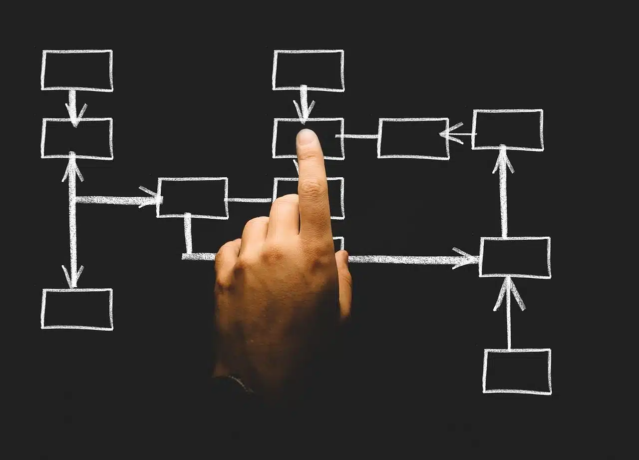 Organizational structure