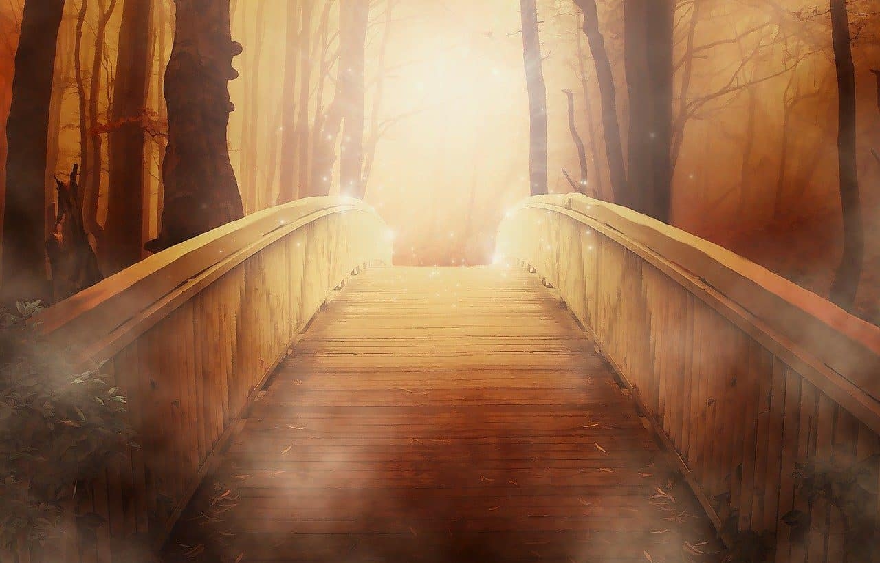 Bridge in a forest with warm light