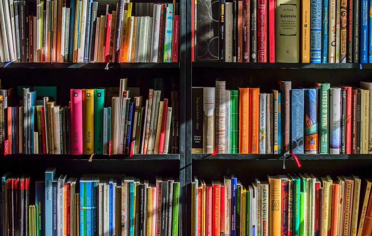 Bookstore full of books