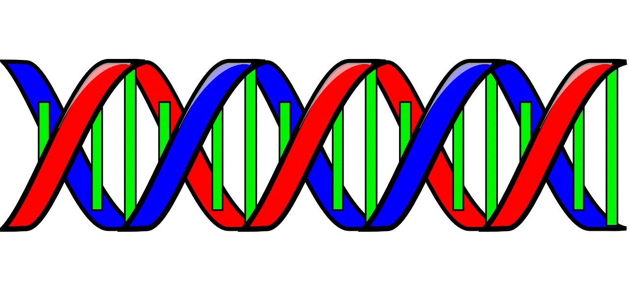 DNA