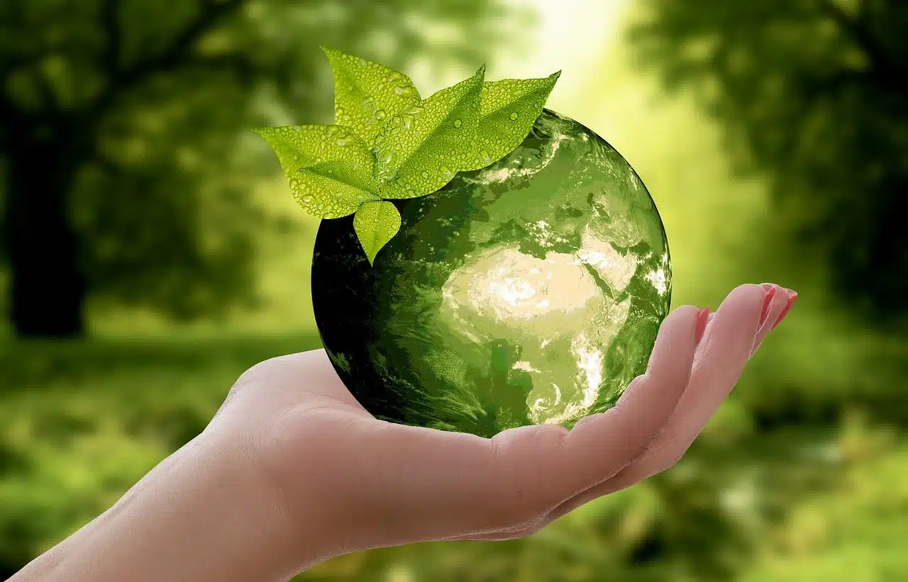 Hand holding a model of planet Earth in green