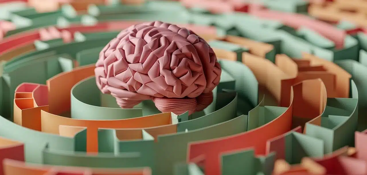 Brain in a circular maze