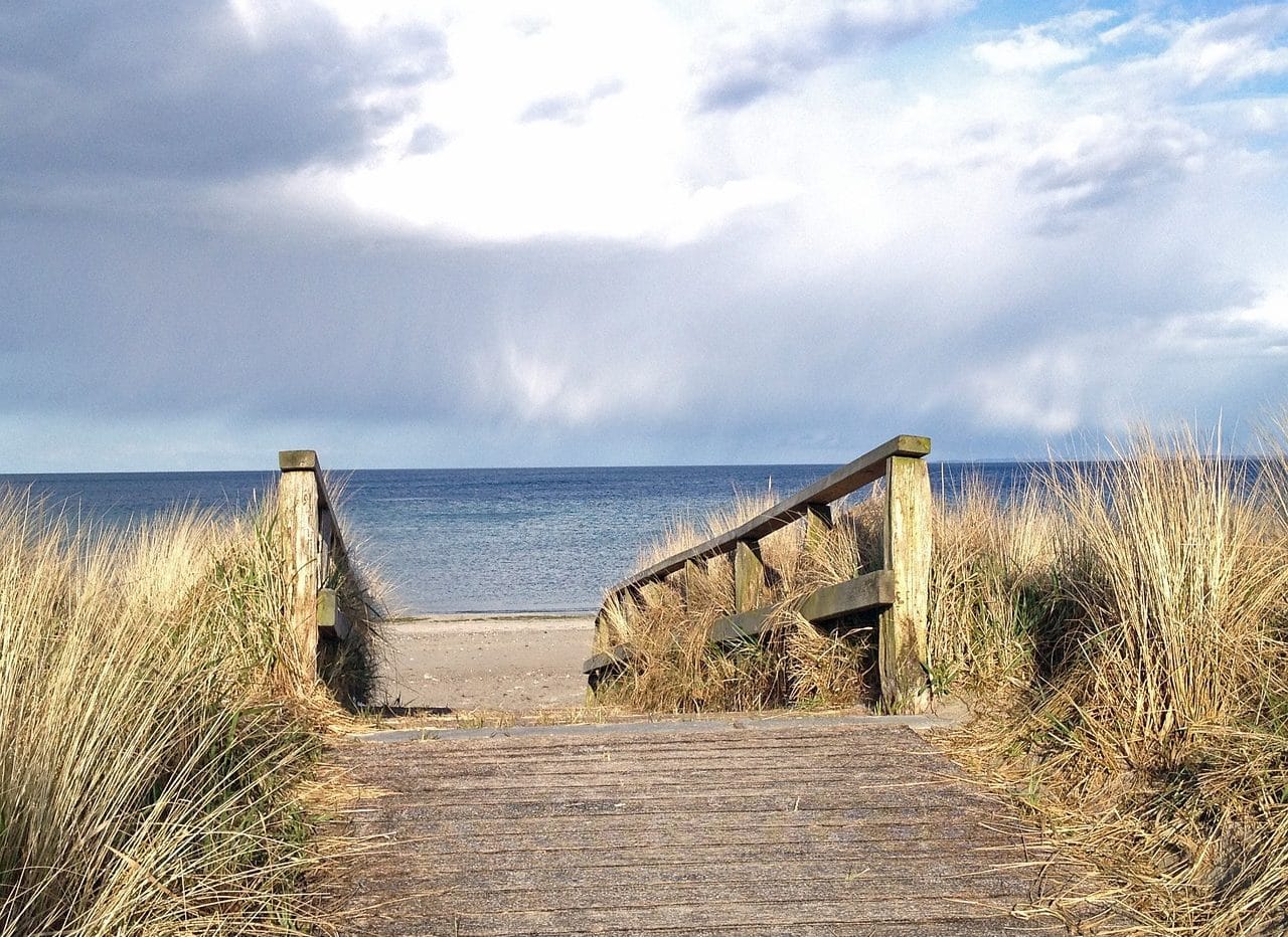 Paths to the sea