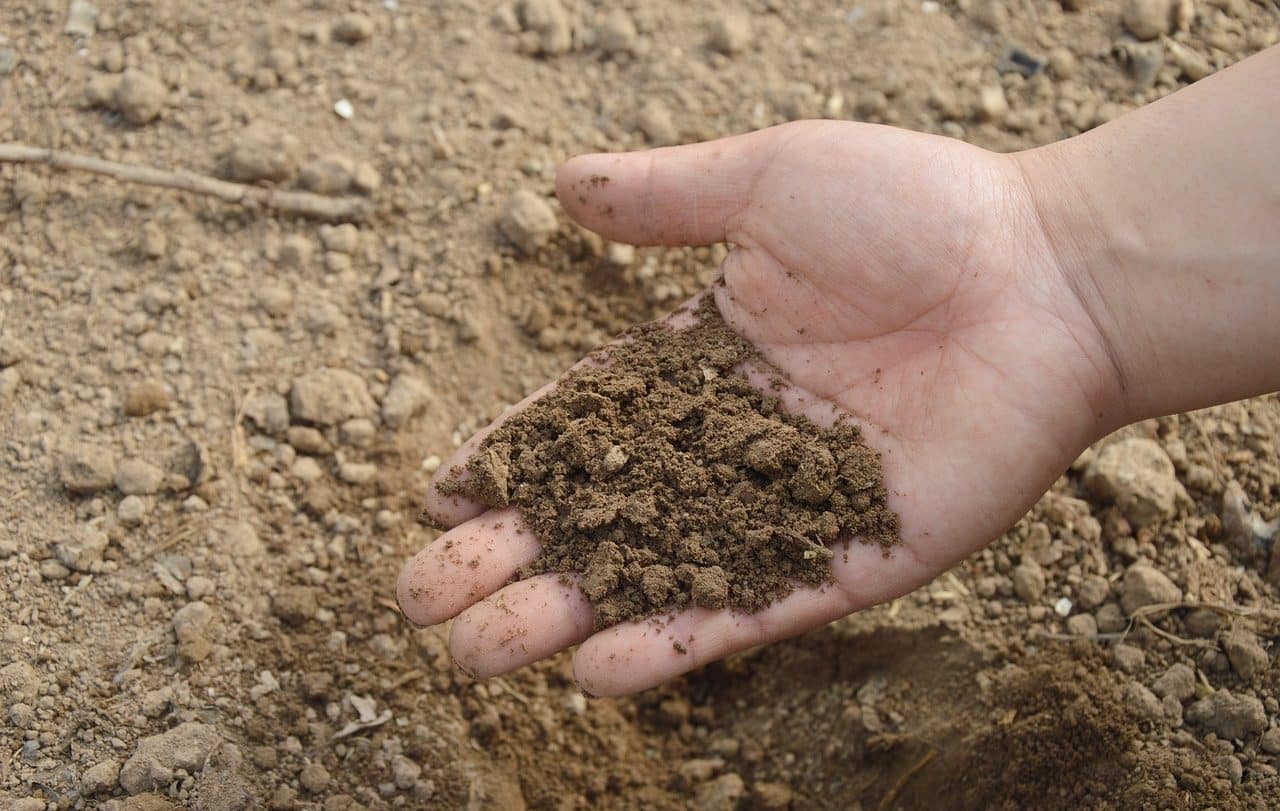 Picking up dirt by hand