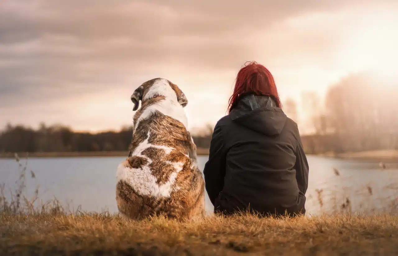 A dog and a woman sitting looking at the landscape in front of a lake