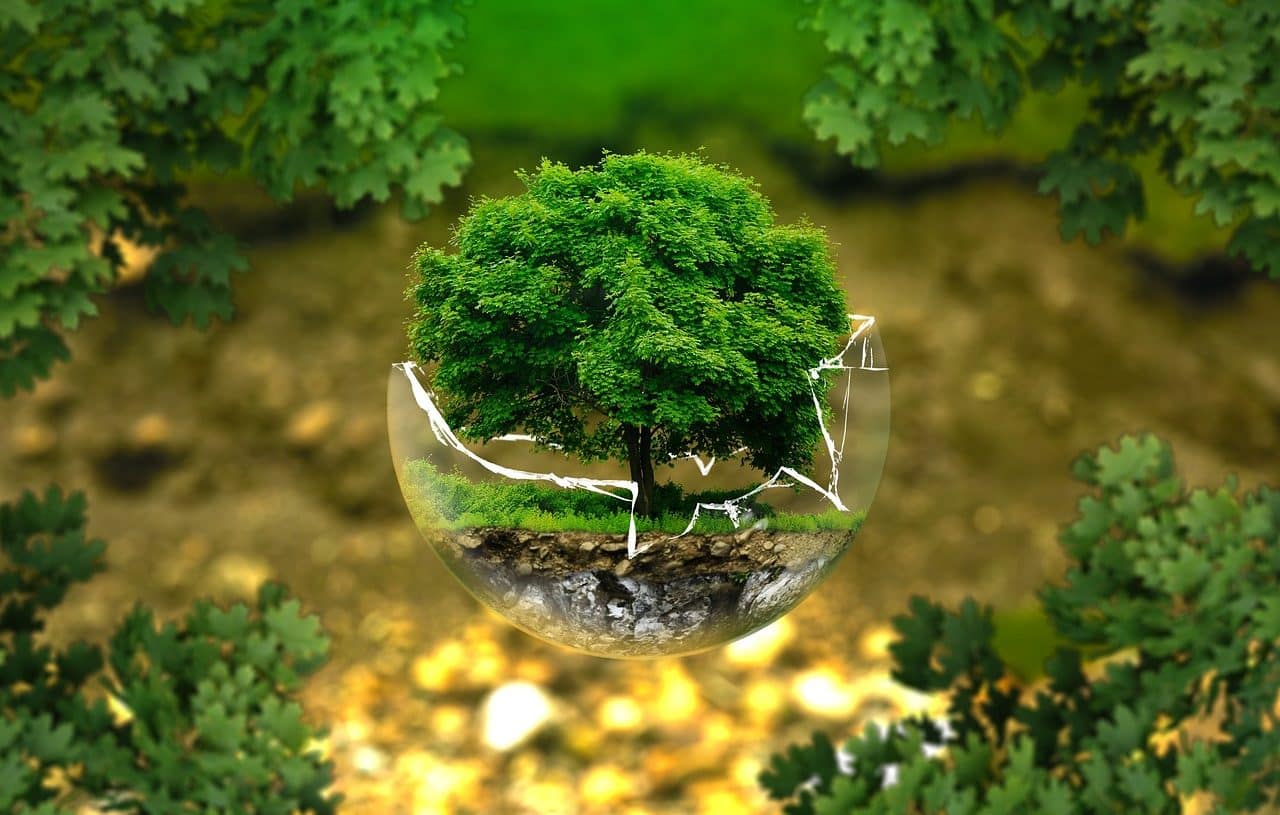 Tree in glass sphere