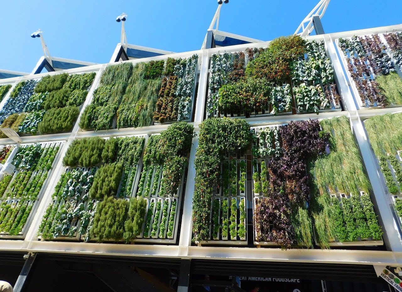 vertical garden