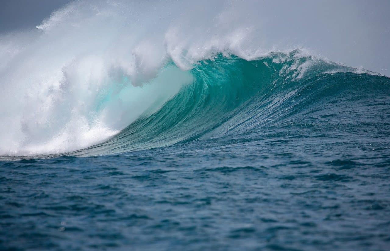 Big wave in the sea