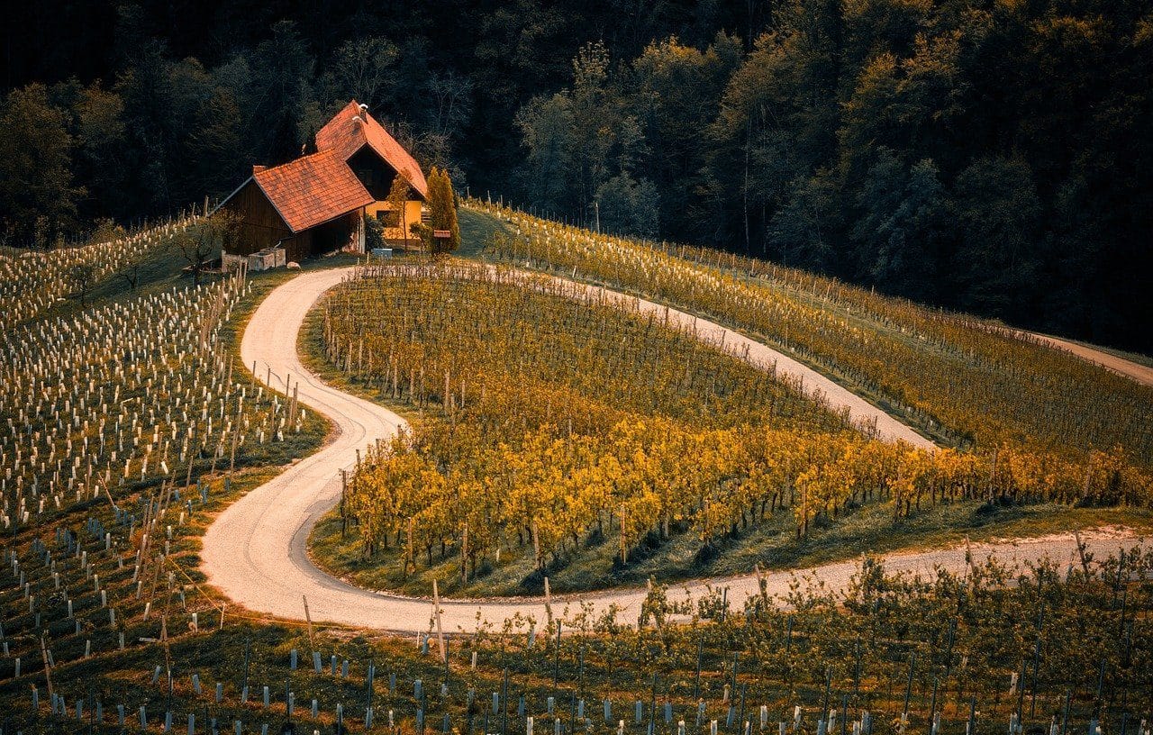 Field dedicated to agriculture with a path that traces the shape of a heart